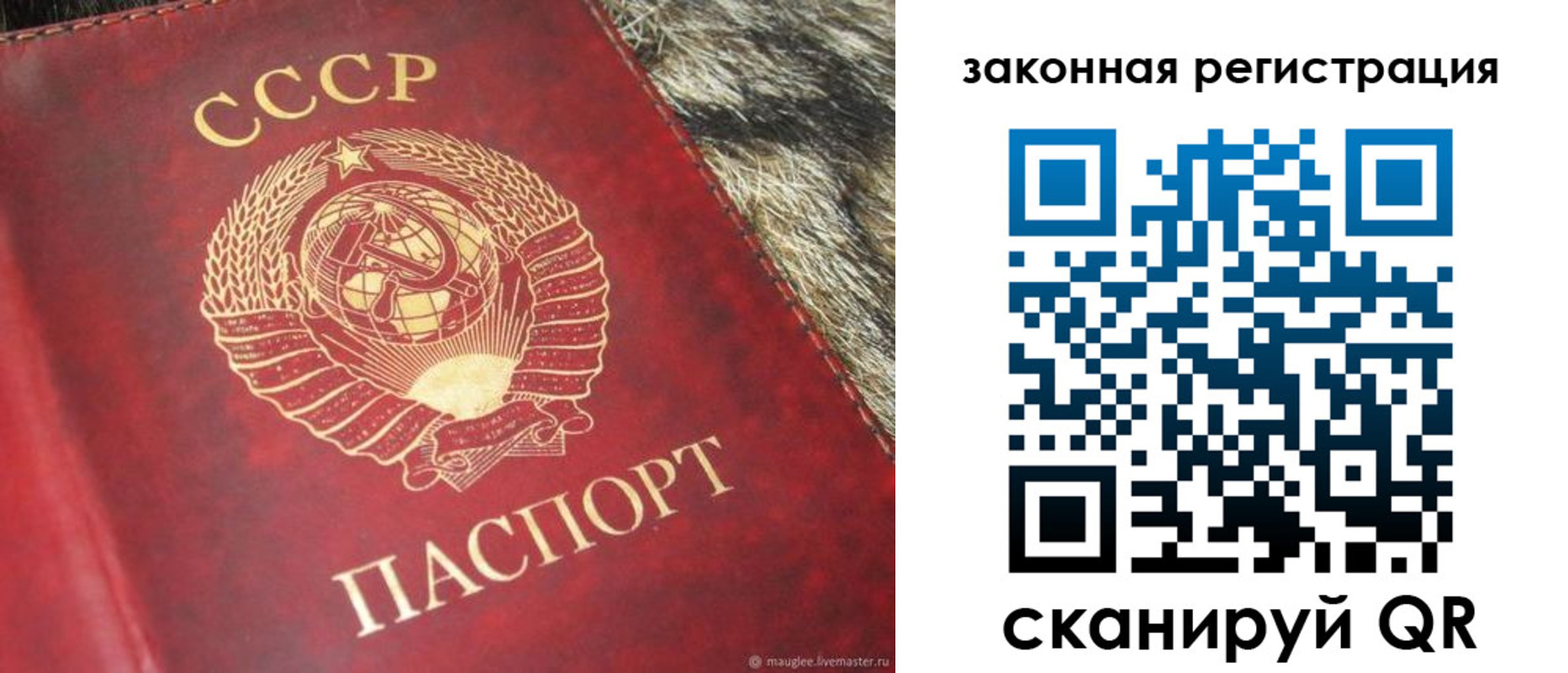 прописка от собственника в Новопавловске